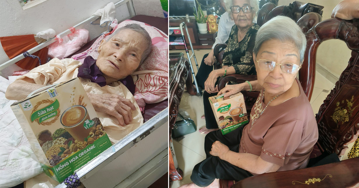 sua hat thuan chay 36 vi