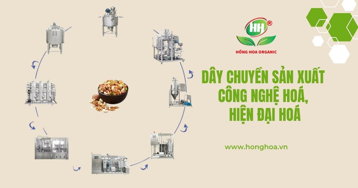 quy trinh gia cong sua hat hien dai