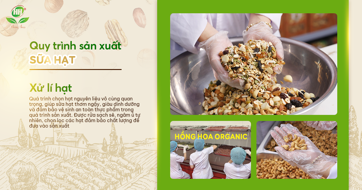 quy trinh gia cong sua hat hong hoa organic